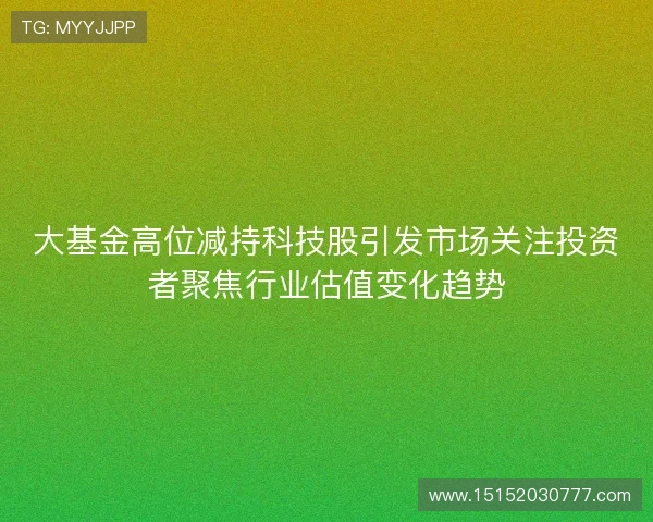大基金高位减持科技股引发市场关注投资者聚焦行业估值变化趋势